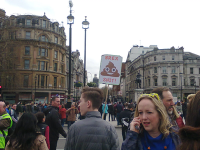 BrexShit sign using smiling poo emoji