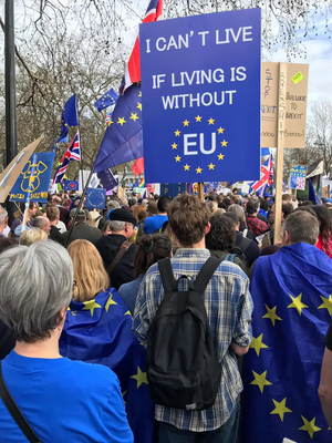 Can't Live If Living Is Without EU sign