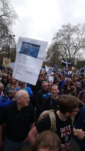 Sussex For Europe and Wealden LibDems in the People's Vote March crowds